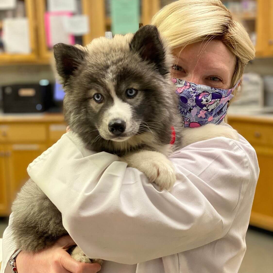 Staff holding dog