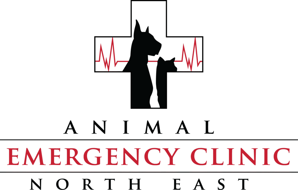 Animal Emergency Clinic NE